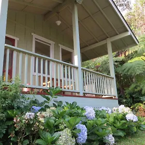 Carson'S Kaloko Mountain Cabin , Kailua-Kona United States